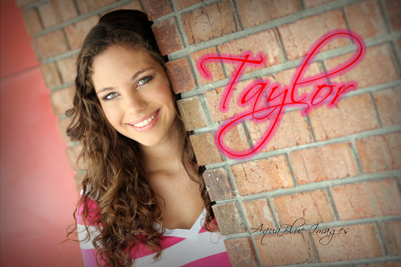 taylor_0000_cover